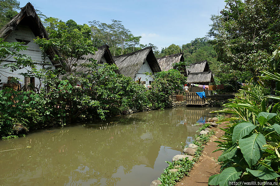 Деревенские дома. Ява, Индонезия