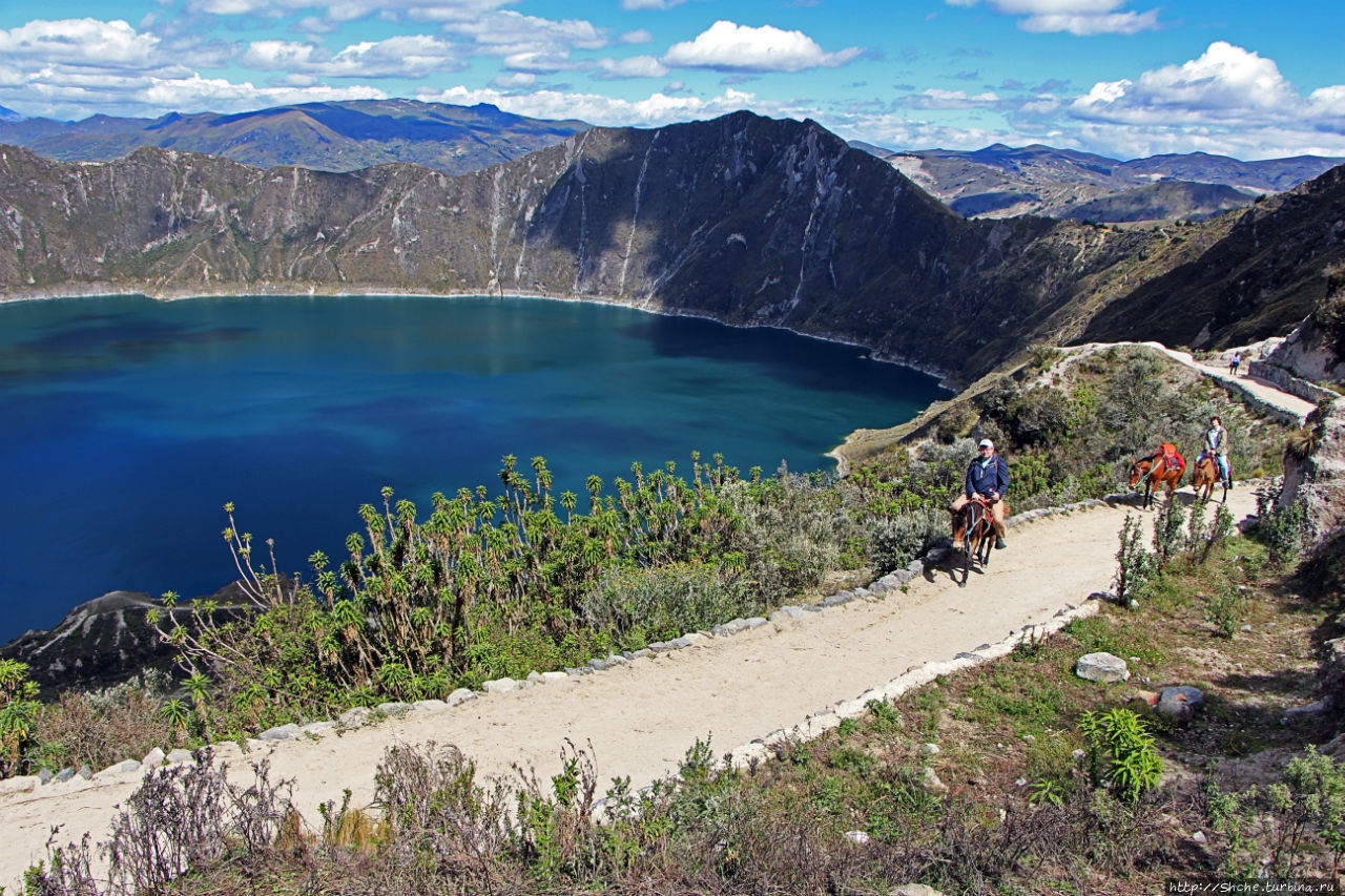 Без лошадок мы бы не выбрались Килотоа кратерное озеро, Эквадор