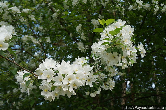 Жизнь вдоль дороги Южно-Сахалинск, Россия