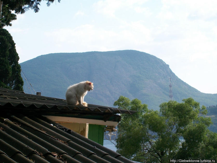 Прогулка по поселку Утес после дождя Утес, Россия