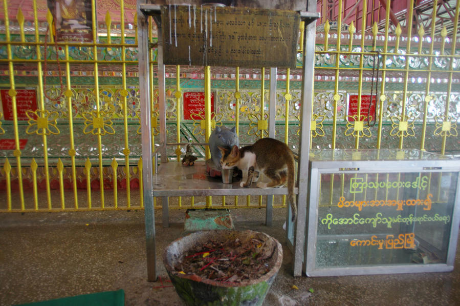 На борту британской Бирмы. Рангун Янгон, Мьянма