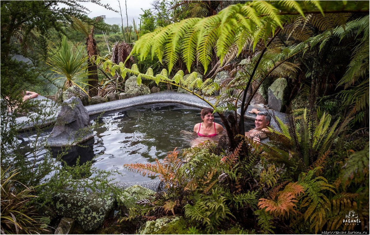 фото Паганель-студии Уайките-Вэлли, Новая Зеландия