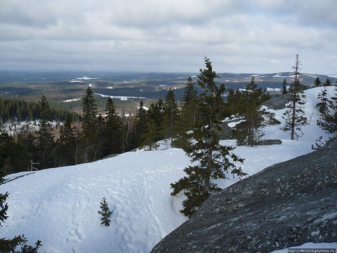 Один день в Национальном парке «Коли» Коли Национальный Парк, Финляндия
