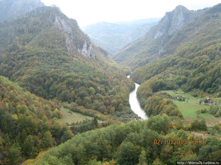 Каньон реки Тара Жабляк, Черногория