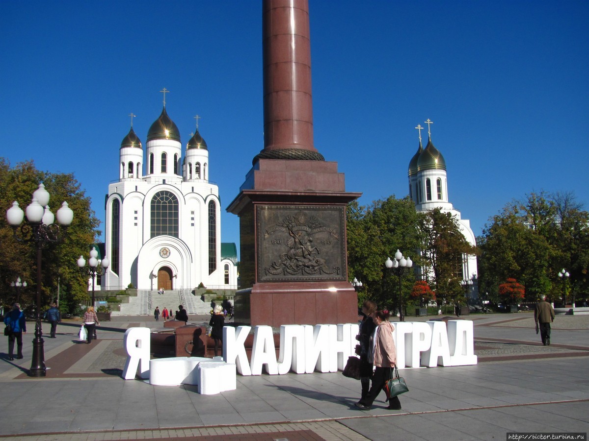 Что посмотреть в Калининграде за 1 день Калининград, Россия