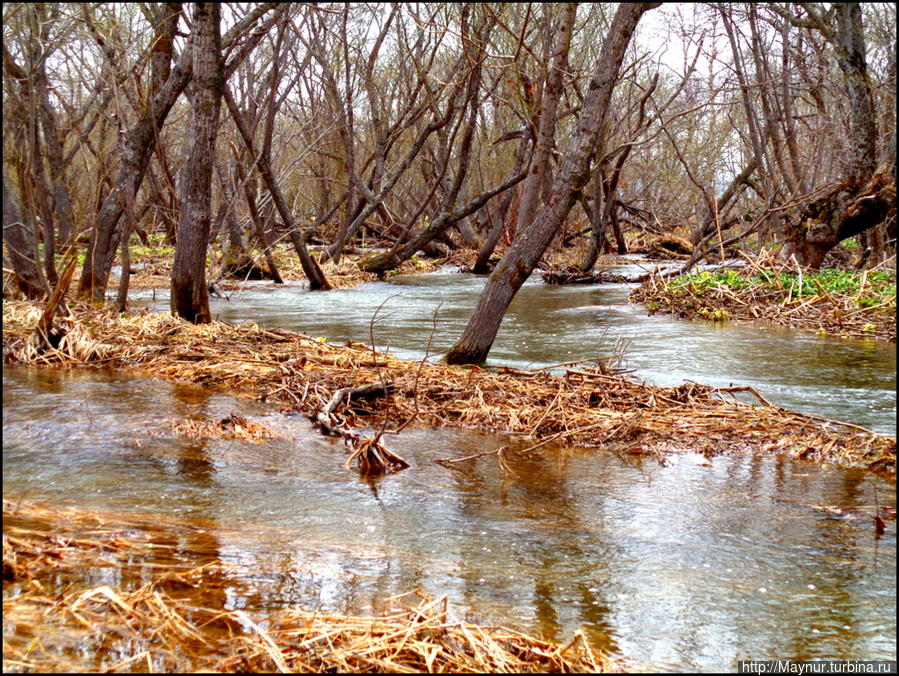 И   в  этом  есть  очарование... Южно-Сахалинск, Россия