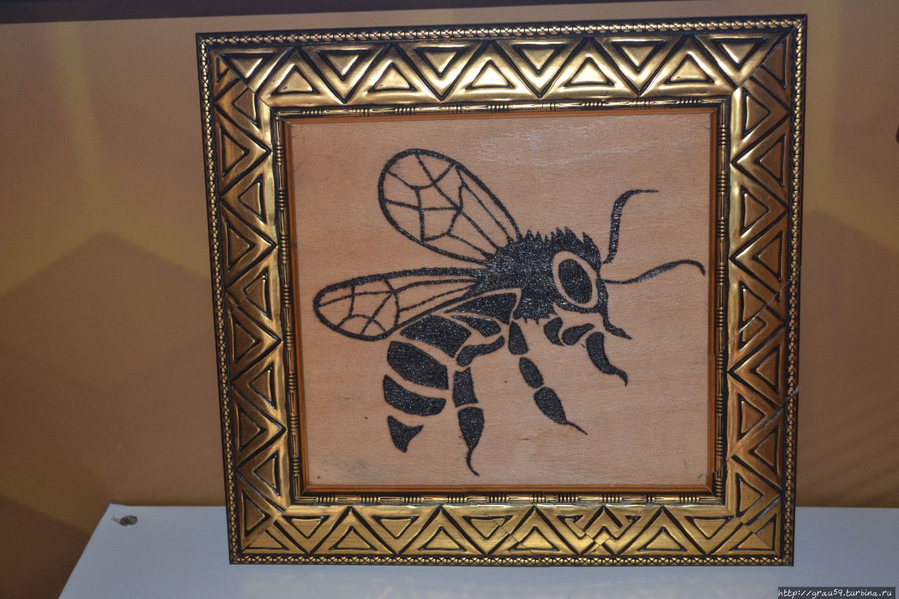 Музей пчелы