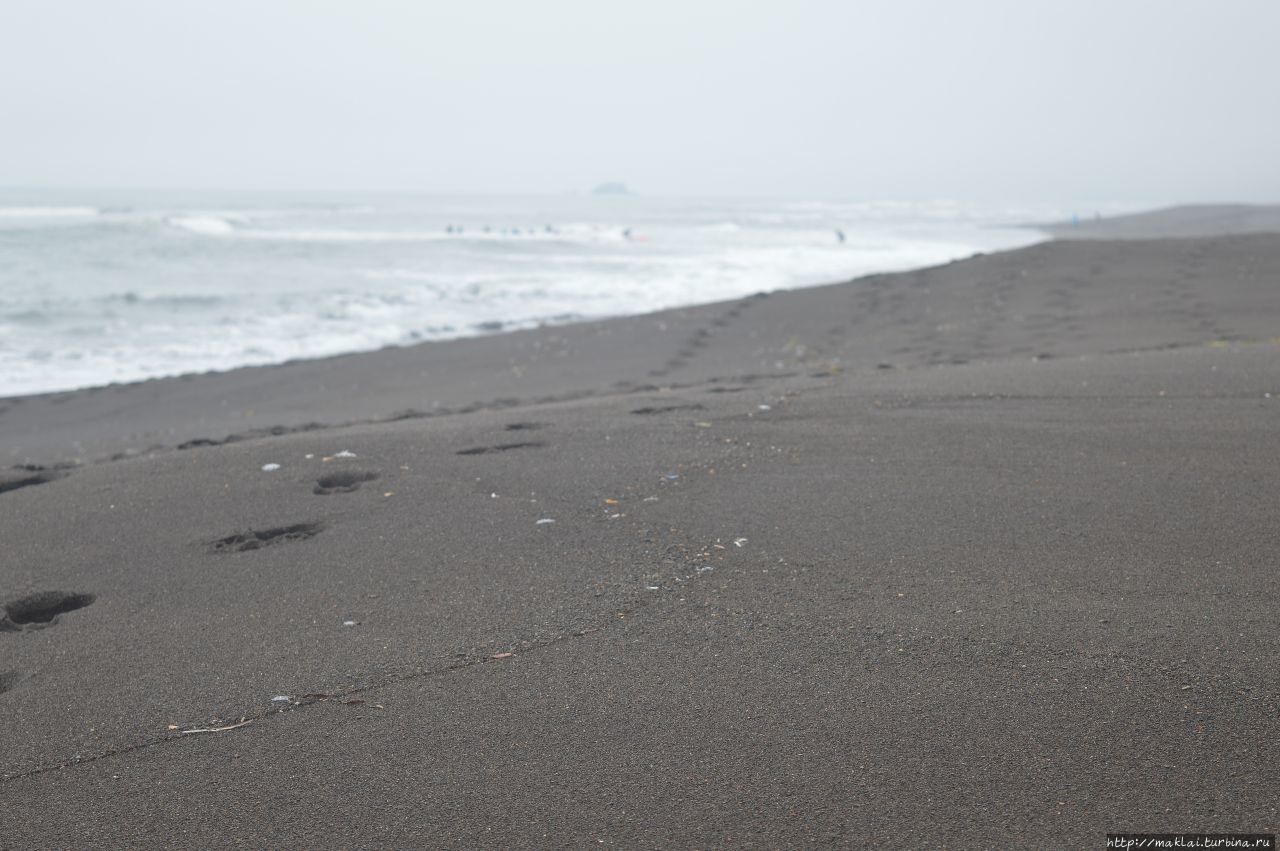Чёрная песочница. Халактырский пляж Халактырский пляж, Россия