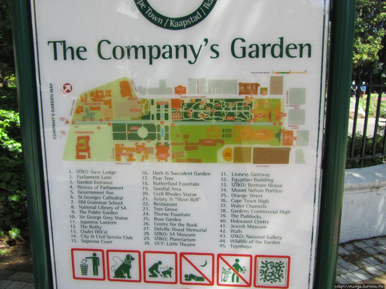 Сады Компании / The Company’s Gardens