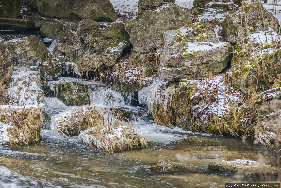 Прогулка в Английский сад Мюнхен, Германия