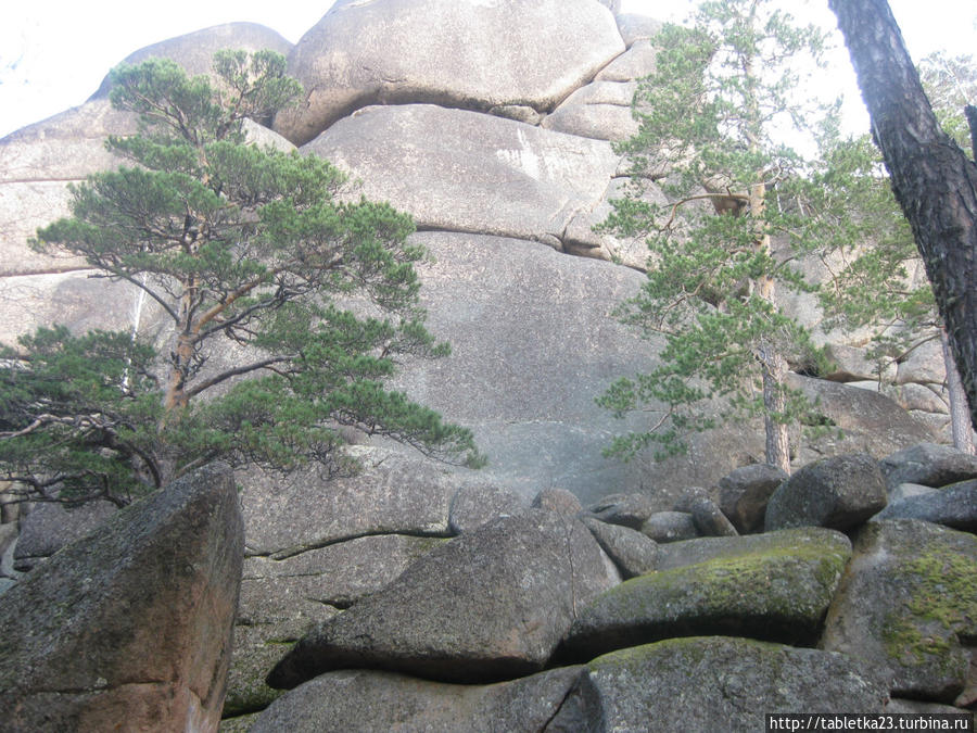 Красноярск. Заповедник Красноярские столбы Красноярский край, Россия