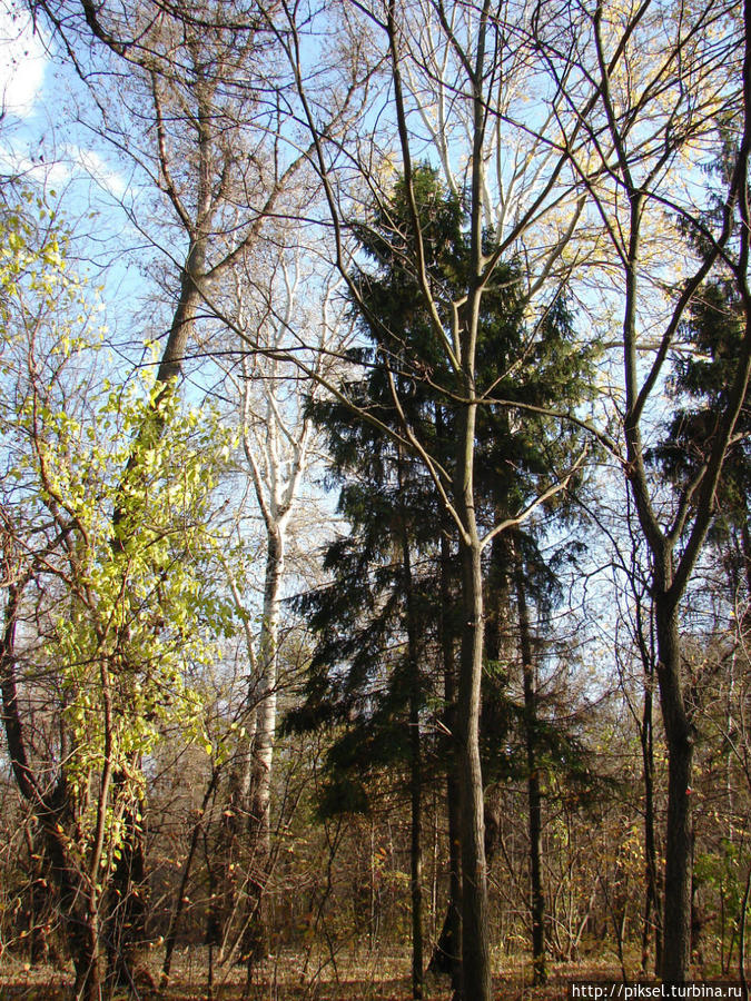 Осенняя медитация Киев, Украина