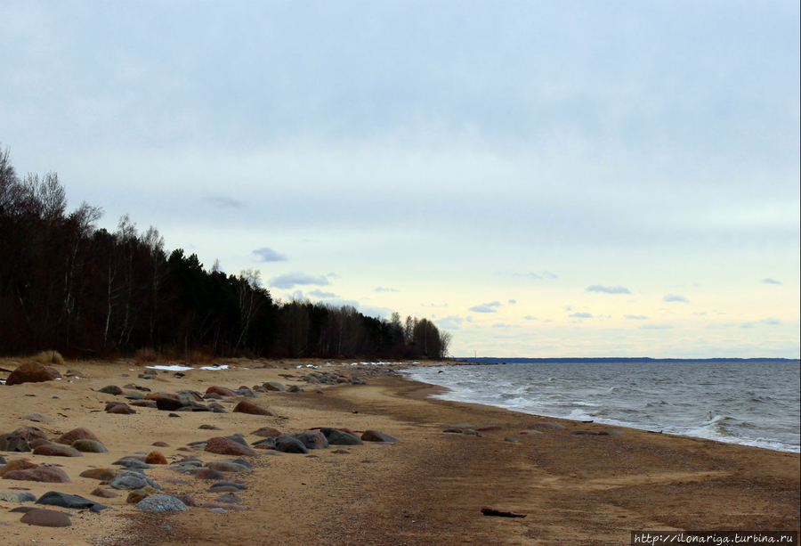 Немного про камни в пасмурный день Саулкрасты, Латвия