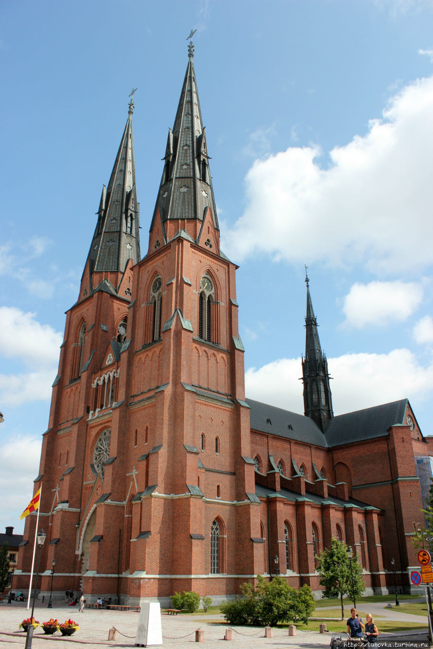 Карл Линней (Carl Linnaeus, Carl Linné) Уппсала, Швеция