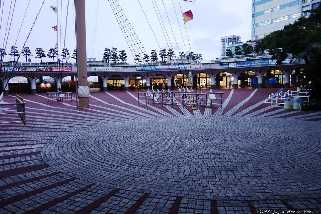 Токио центр города. Токийский хайвей фото. Токио летит. Токио столица японии синдзюку. Арасака тауэр токио.