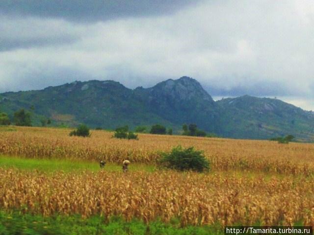 Африка без прикрас. Дорога в Мозамбик Блантайр, Малави