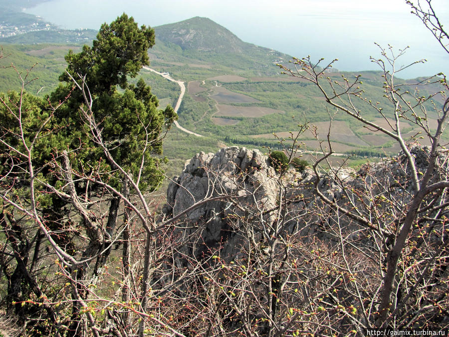 г. Кастель Алушта, Россия