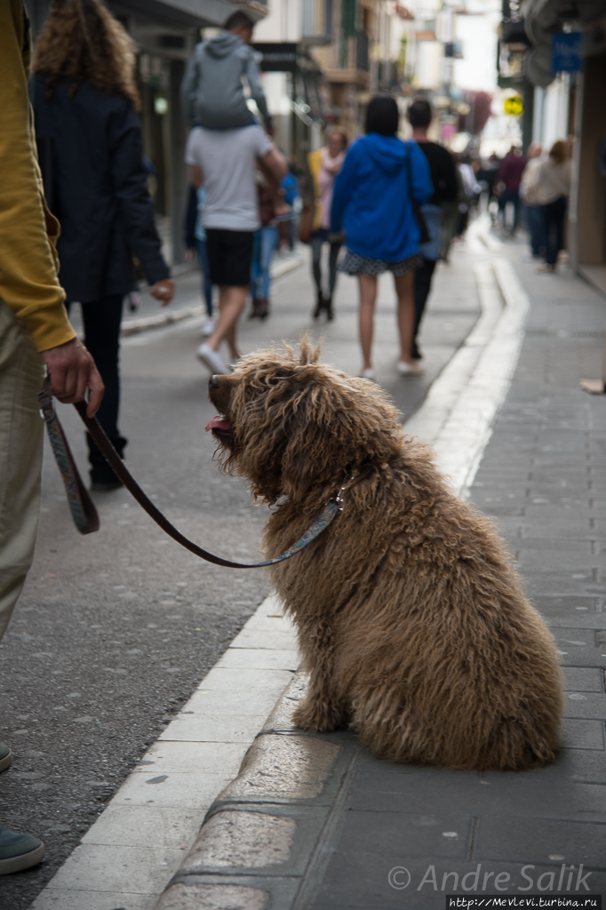 Прогулка по старому городу Ситжес, Испания