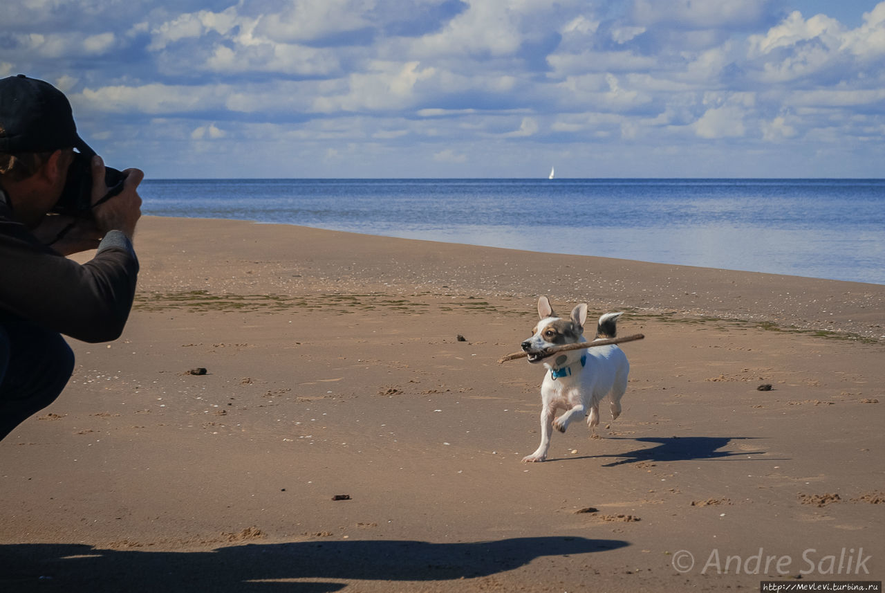 Природный парк Ragakāpa. Юрмала, Латвия
