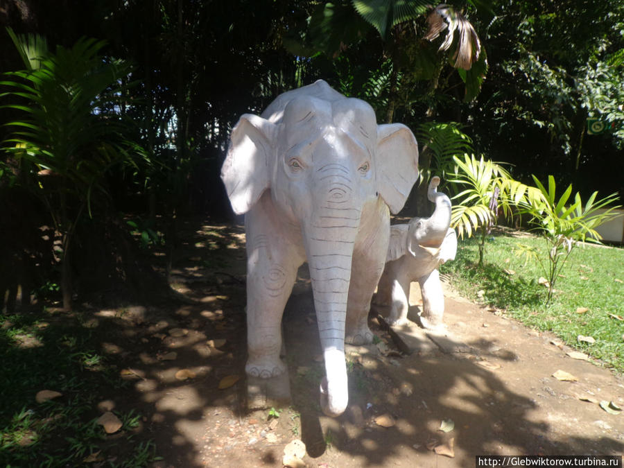 Yangon Zoological Garden Янгон, Мьянма