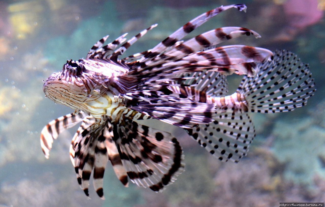 Год прекрасных путешествий