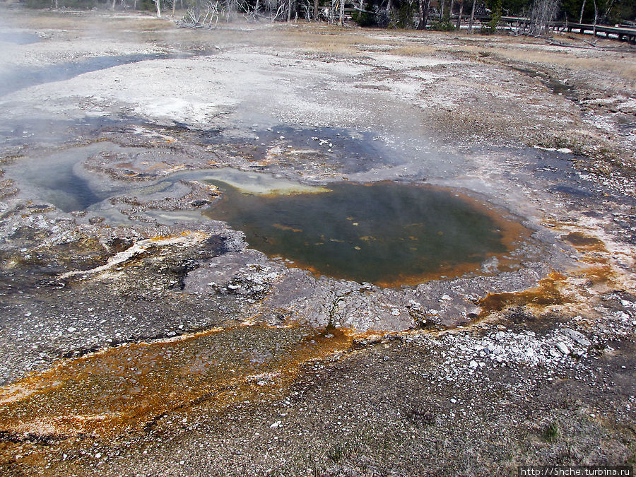 От гейзера к гейзеру. Возвращение на Geyser Hill Йеллоустоун Национальный Парк, CША