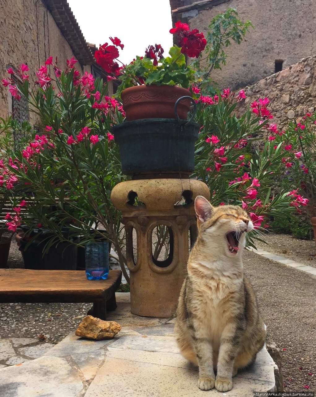 Цирк, да не только Мурез, Франция