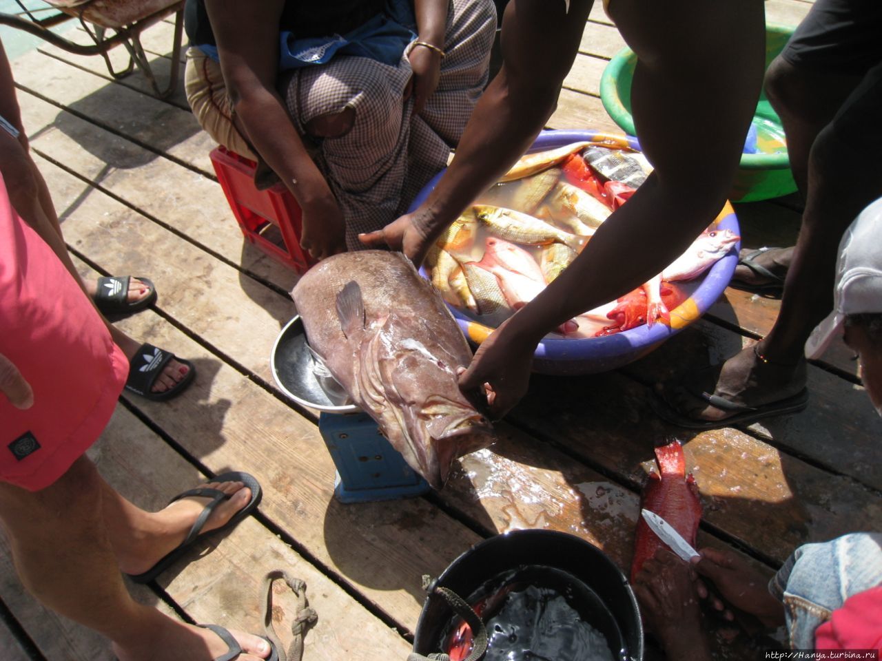 Рыбный причал Санта-Мария, Кабо-Верде