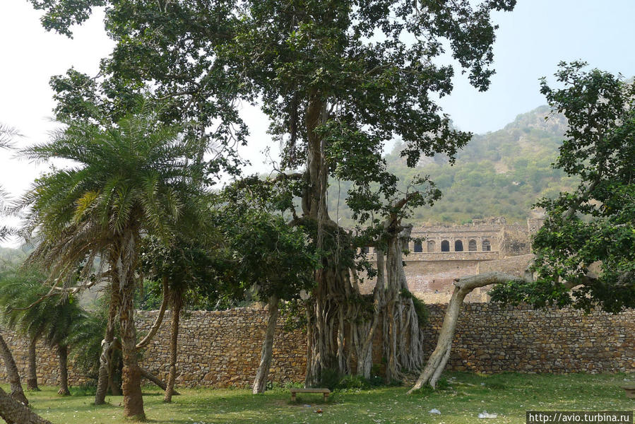 Бхангарх форт – что с привидениями? Штат Раджастан, Индия