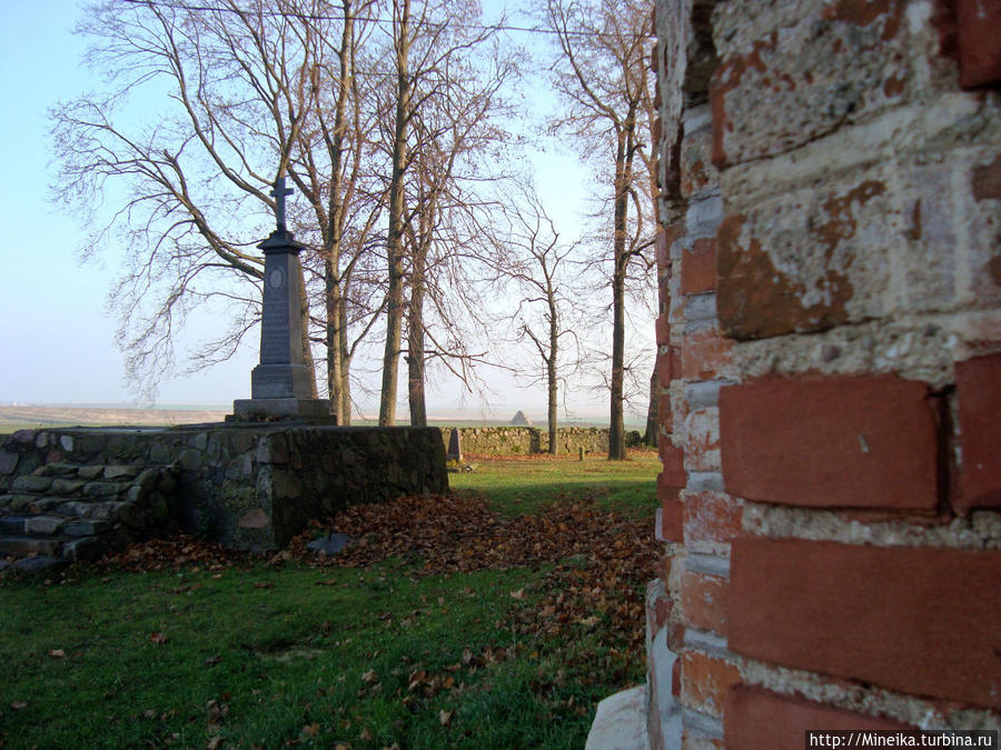 Осеннее утро в Сынковичах Гродненская область, Беларусь