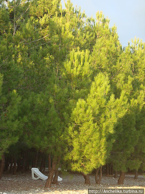 На берегу. Село Лидзава.