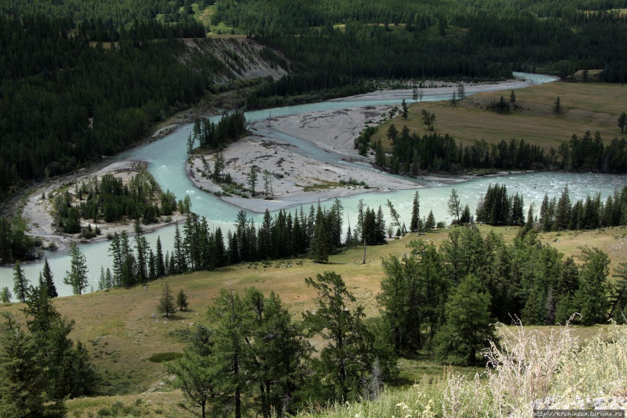 Коксу впадает в Аргут