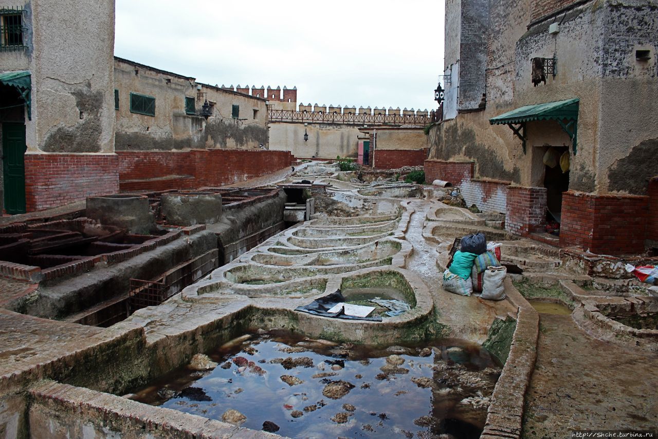 Кожевня / Tanner