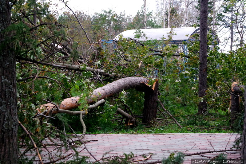 Удар! Еще удар.... Южно-Сахалинск, Россия