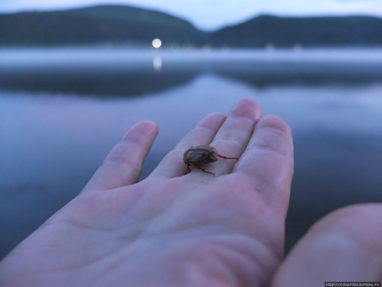 Туман над Енисеем Красноярск, Россия