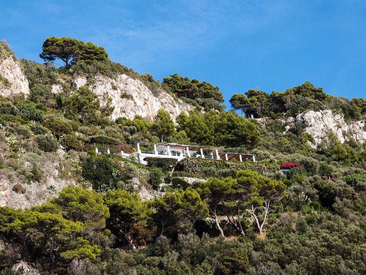 Заставки экрана капри. Капри леса. Род остров капри. Остров капри джоджо. Род остров капри.