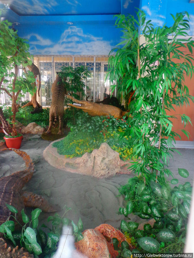 Аквариум и зоомузей в г.Букитинги Букиттинги, Индонезия