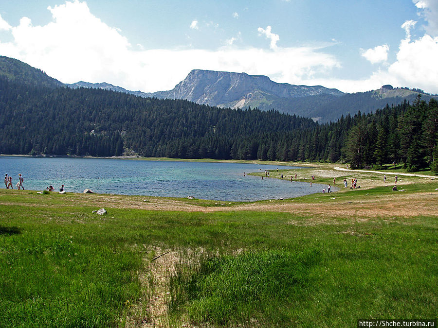 Черное озеро, остальные фото сделаны во время прогулки вдоль берега это озера Национальный парк Дурмитор, Черногория