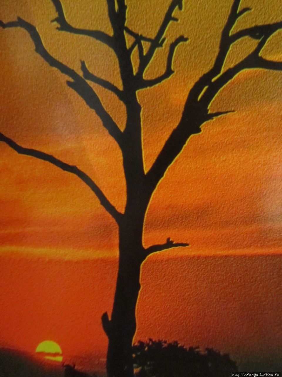 Свазиленд — «Вижу горы и долины, вижу реки и поля… ». Ч. 13 ЮАР Свазиленд — «Вижу горы и долины, вижу реки и поля… ». Ч. 13 ЮАР