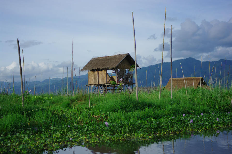 Будка надсмотрщика за огородами :) Озеро Инле, Мьянма