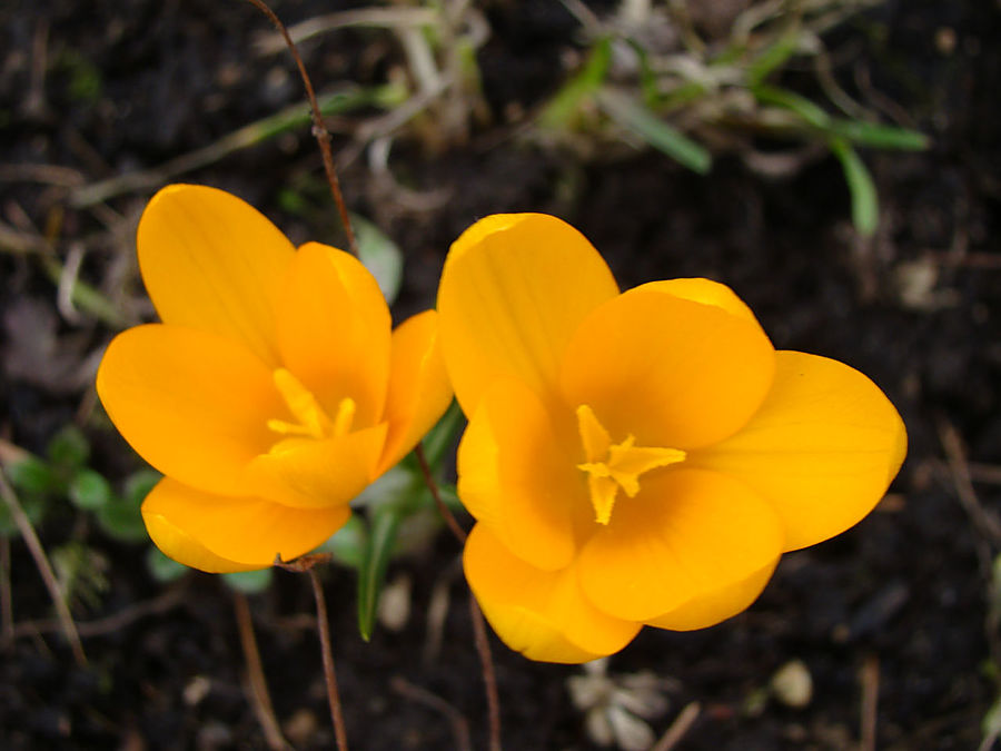 Девочки! Весна! Москва, Россия