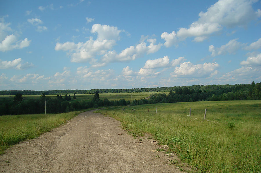 дорога от старого коровника в Липихино Солигалич, Россия