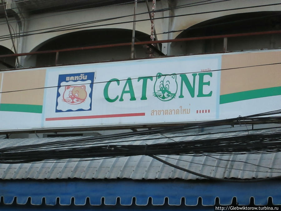 Shop Catone Ясотхон, Таиланд