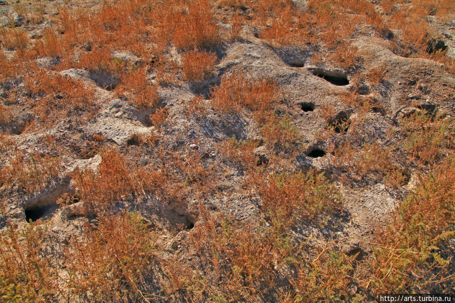 Писаные скалы на реке Или II век до н.э. Алматинская область Капчагай, Казахстан