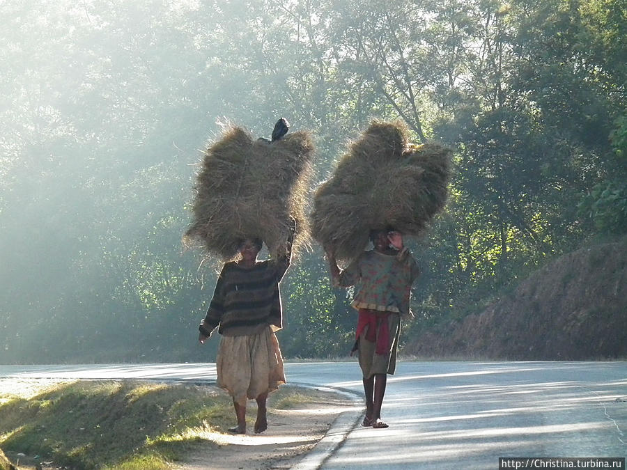 Мадагаскар — это первая страна, в которой я в реалиях увидела, как носят ношу на голове. Провинция Антананариву, Мадагаскар