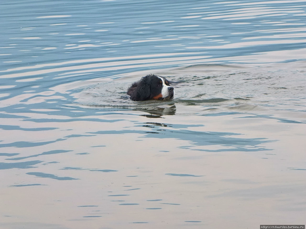 Вечер на Енисее Красноярск, Россия