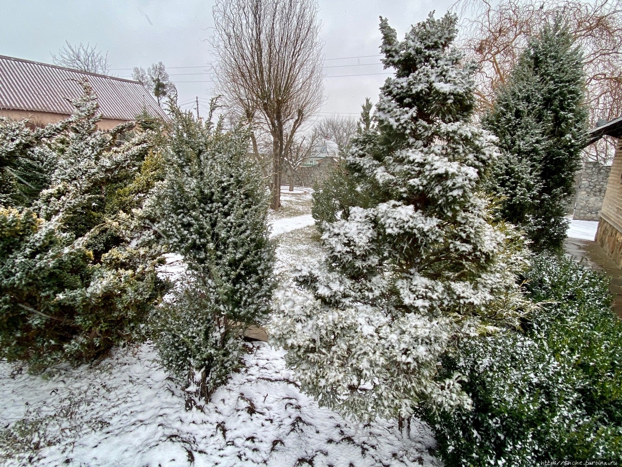 25 января — первый день зимы)) Рогань, Украина