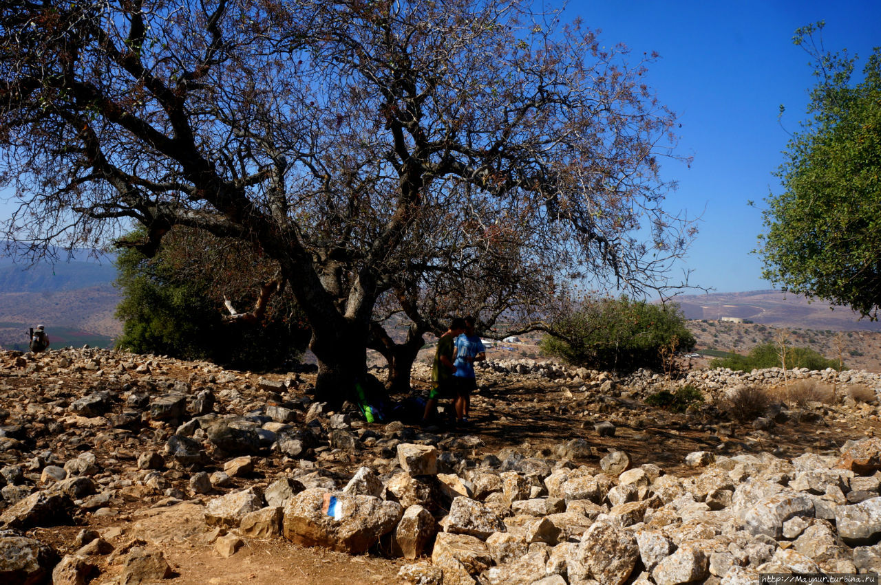 Об Израиле с любовью. От форта Йеша  до  горы Мерон... Мерон (город и гора 1208м), Израиль