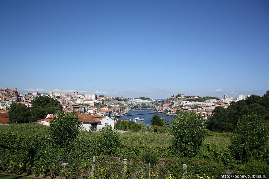 Вид на Порту с террасы завода