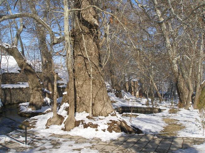 Ургут, комплекс «Чор Чинор» (четыре чинары). Самарканд, Узбекистан